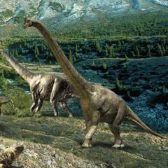 Динозавров погубили водоросли?